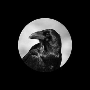 米奇狠狠去哪拉
